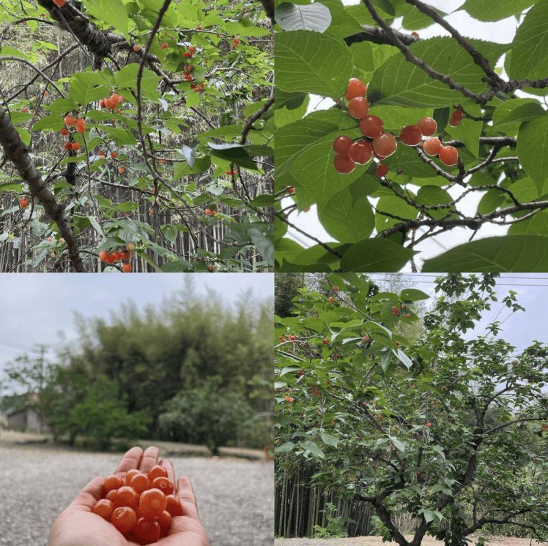 今日外汇行情新动态，理财者反应热烈激荡